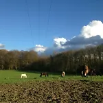 Penzion Landhof Zur Meierei Penzlin