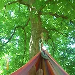 Landhof Zur Meierei Penzion Penzlin