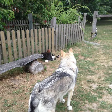 بيت ضيافة Landhof Zur Meierei 3*