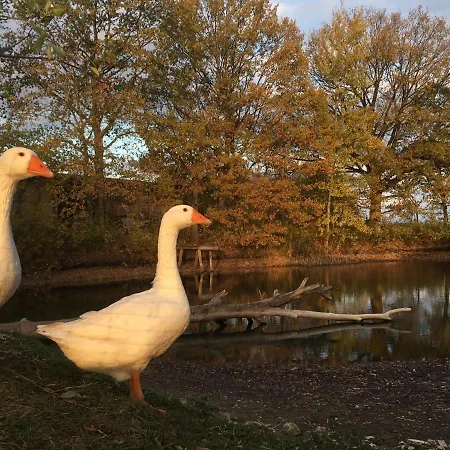 Landhof Zur Meierei بيت ضيافة 3*