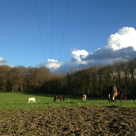 Gasthuis Landhof Zur Meierei Penzlin