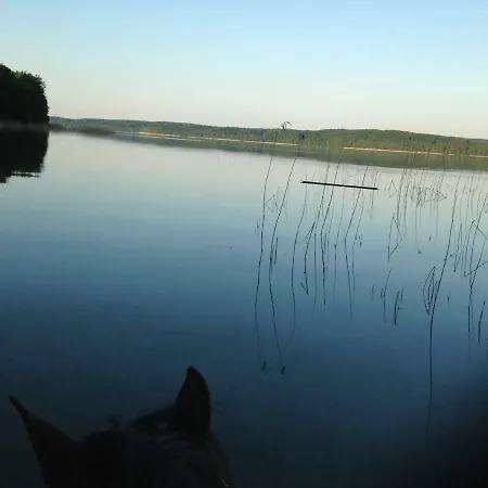 Landhof Zur Meierei Gasthuis