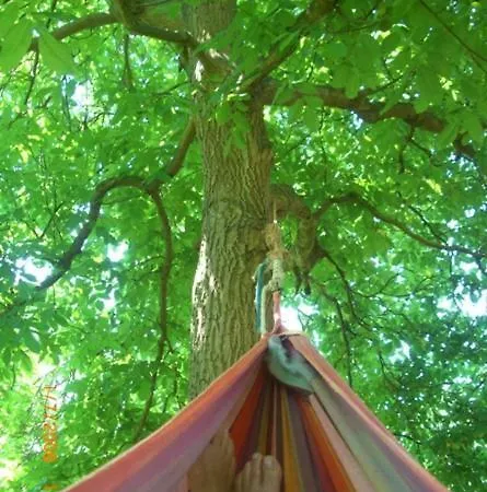 Landhof Zur Meierei بيت ضيافة Penzlin