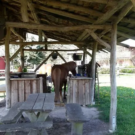 Landhof Zur Meierei بيت ضيافة