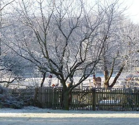 بيت ضيافة Landhof Zur Meierei Penzlin