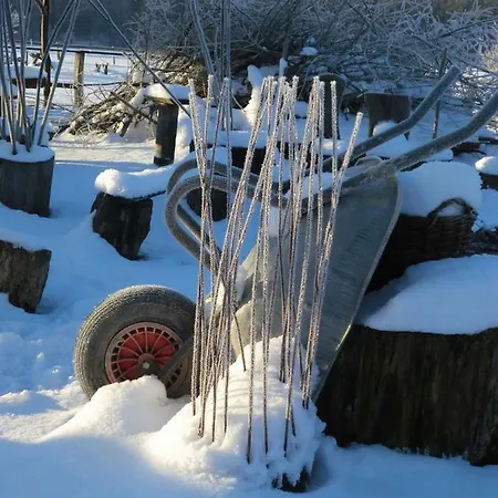 Landhof Zur Meierei بيت ضيافة 3*
