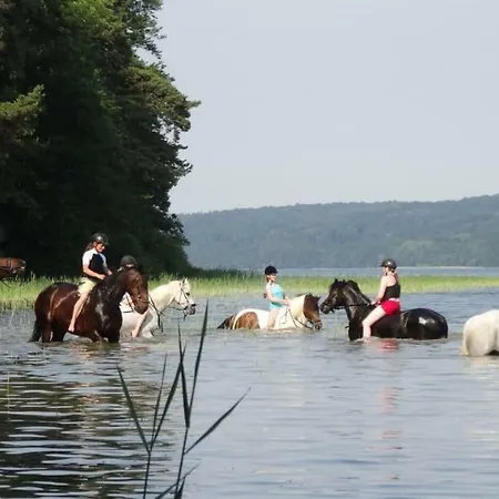 Landhof Zur Meierei 3*